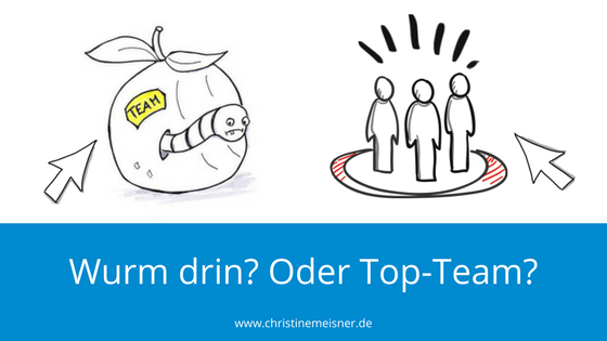 Erfolgreiche Zusammenarbeit im Team oder wo ist der Wurm drin?